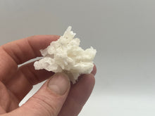 Load image into Gallery viewer, Aragonite coraloide

