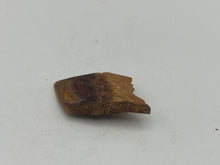 Load image into Gallery viewer, Lepidotes fish scale
