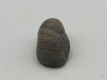 Load image into Gallery viewer, Devils Toenail Gryphaea
