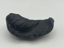 Load image into Gallery viewer, Whale ear bone
