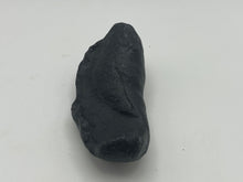 Load image into Gallery viewer, Whale ear bone
