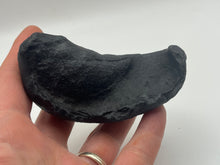 Load image into Gallery viewer, Whale ear bone
