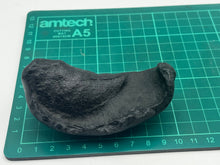 Load image into Gallery viewer, Whale ear bone
