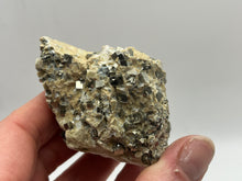 Load image into Gallery viewer, Pyrite micro cubes on matrix
