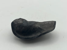 Load image into Gallery viewer, Whale ear bone

