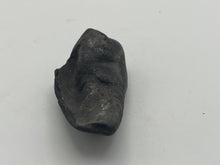 Load image into Gallery viewer, Whale ear bone
