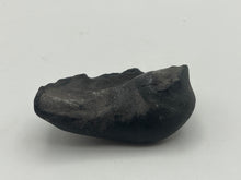 Load image into Gallery viewer, Whale ear bone
