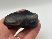 Load image into Gallery viewer, Whale ear bone
