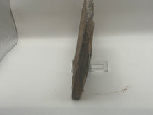 Load image into Gallery viewer, Trilobite trackways (cruziana)
