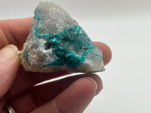 Load image into Gallery viewer, Dioptase
