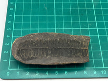 Load image into Gallery viewer, Carboniferous Leaf Fossil Nodule
