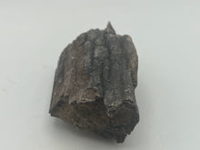 Load image into Gallery viewer, Mammoths bone

