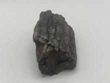 Load image into Gallery viewer, Mammoths bone
