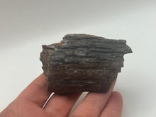 Load image into Gallery viewer, Mammoths bone
