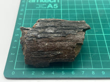 Load image into Gallery viewer, Mammoths bone

