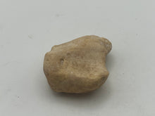 Load image into Gallery viewer, Cave bear foot bone
