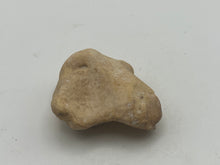 Load image into Gallery viewer, Cave bear foot bone
