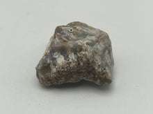 Load image into Gallery viewer, Tisbury coral
