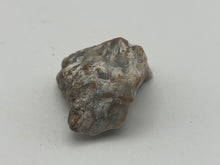 Load image into Gallery viewer, Tisbury coral
