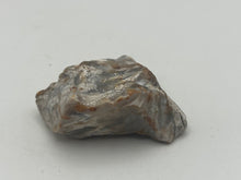Load image into Gallery viewer, Tisbury coral
