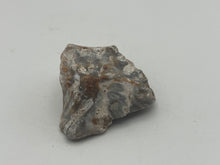 Load image into Gallery viewer, Tisbury coral
