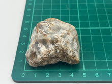Load image into Gallery viewer, Tisbury coral
