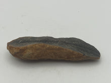 Load image into Gallery viewer, Carboniferous fossil leaf
