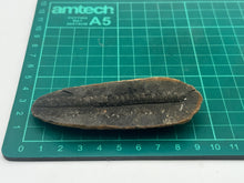 Load image into Gallery viewer, Carboniferous fossil leaf
