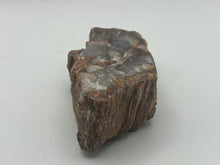 Load image into Gallery viewer, Petrified fossil wood
