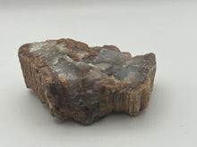 Load image into Gallery viewer, Petrified fossil wood
