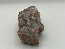 Load image into Gallery viewer, Petrified fossil wood
