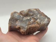 Load image into Gallery viewer, Petrified fossil wood
