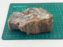 Load image into Gallery viewer, Petrified fossil wood
