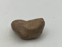 Load image into Gallery viewer, Cave bear bone
