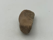 Load image into Gallery viewer, Cave bear bone
