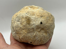 Load image into Gallery viewer, Unbroken geode
