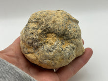 Load image into Gallery viewer, Unbroken Quartz geode
