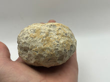Load image into Gallery viewer, Unbroken break your own Quartz geode
