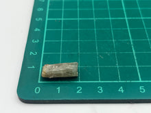 Load image into Gallery viewer, Apatite
