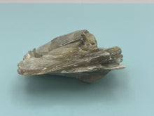 Load image into Gallery viewer, Muscovite mica
