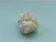Load image into Gallery viewer, Aragonite
