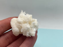 Load image into Gallery viewer, Aragonite
