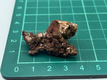 Load image into Gallery viewer, Copper
