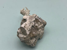 Load image into Gallery viewer, Artinite
