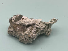 Load image into Gallery viewer, Artinite
