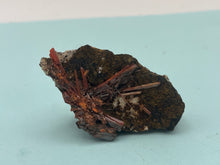 Load image into Gallery viewer, Crocoite
