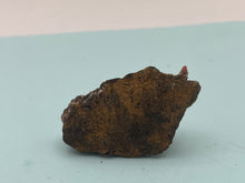 Load image into Gallery viewer, Crocoite
