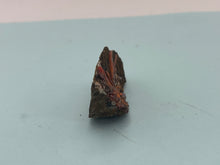 Load image into Gallery viewer, Crocoite
