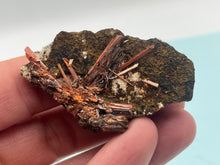 Load image into Gallery viewer, Crocoite
