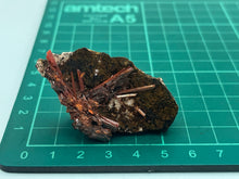 Load image into Gallery viewer, Crocoite
